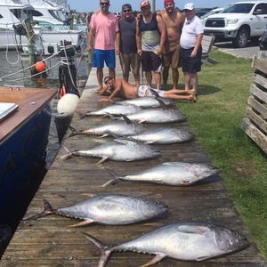 Meet your Posher, Jordon